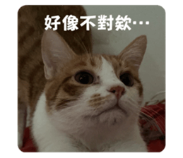 699567276