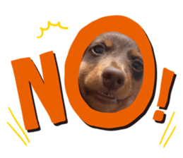 699569838