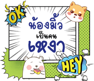 699595041