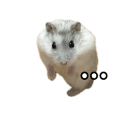 699642896