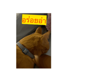 699729797