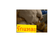 699729798