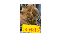 699729800