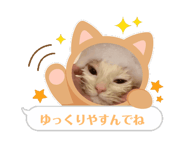 699755662