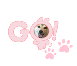 699757271