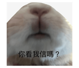 699762190