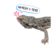 699797478