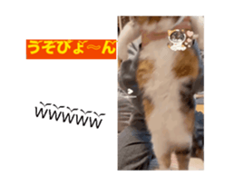 699804908