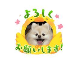 699806314