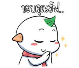 6998099