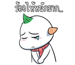 6998116