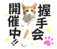 699824155