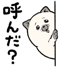 699824761