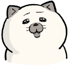 699824776
