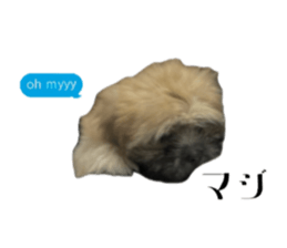 699840445