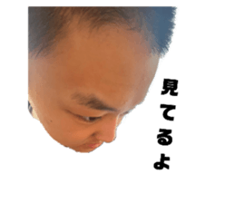 699840804