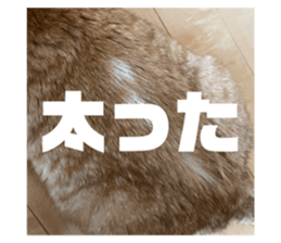 699897108