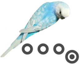 699914956