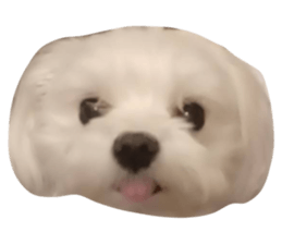 699916258