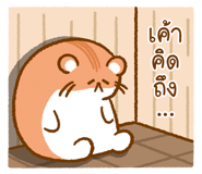 699931692