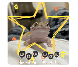 699949387