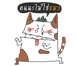 6999611