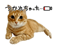 699964233