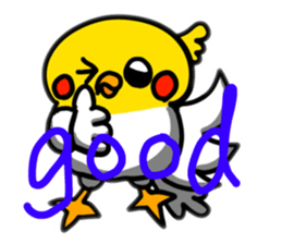 700086057