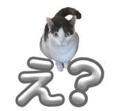 700091966