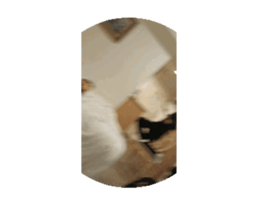 700095794