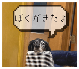 700127682