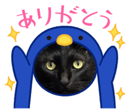 700199808