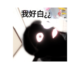 700203526