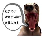 700218330