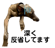 700218335