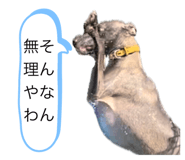 700218344