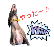 700218345