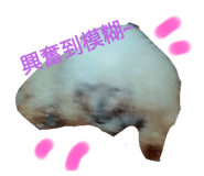 700339372
