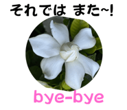 700343174
