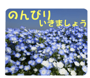 700343188