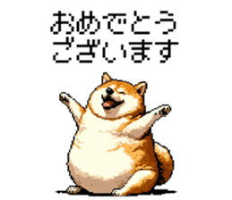 700355594