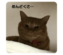 700410534