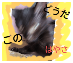 700420255