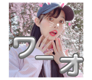700453538