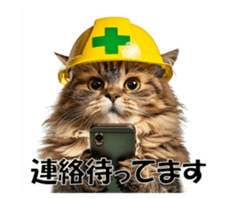 700645392