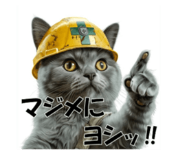 700645396
