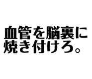 700646084