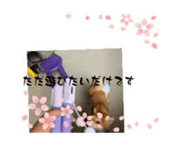 700674641