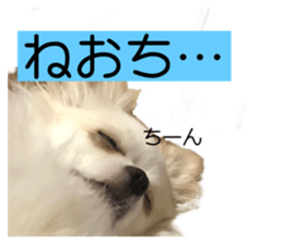 700679697