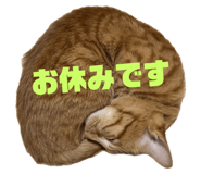 700685501